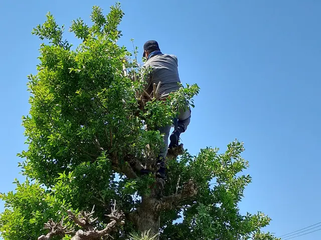 【大手での経験あります！】お気軽にご相談ください！！サービスの画像