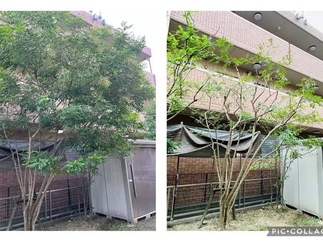 【大手での経験あります！】お気軽にご相談ください！！サービスの画像