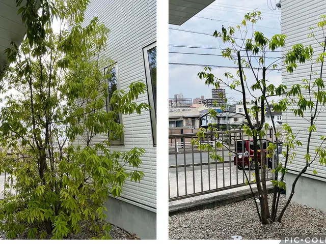 【大手での経験あります！】お気軽にご相談ください！！サービスの画像