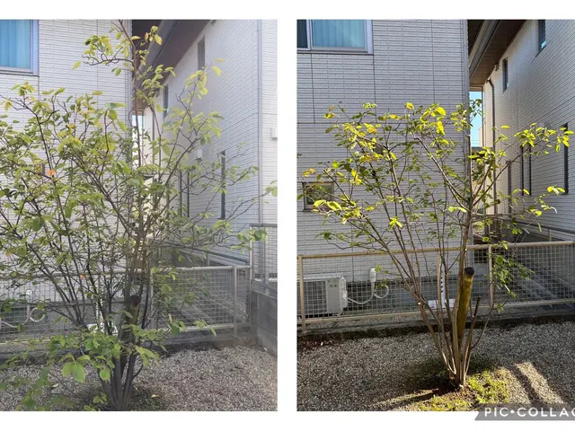 【大手での経験あります！】お気軽にご相談ください！！サービスの画像