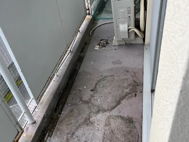 専用洗剤、高圧洗浄で綺麗さっぱり仕上げます^ - ^サービスの画像