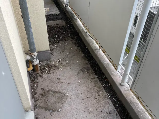 専用洗剤、高圧洗浄で綺麗さっぱり仕上げます^ - ^サービスの画像