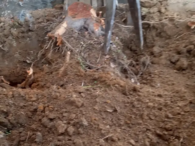 ◆職人歴20年の経験と実績◆年中無休◆完全自社施工◆仕上がり保証ありサービスの画像