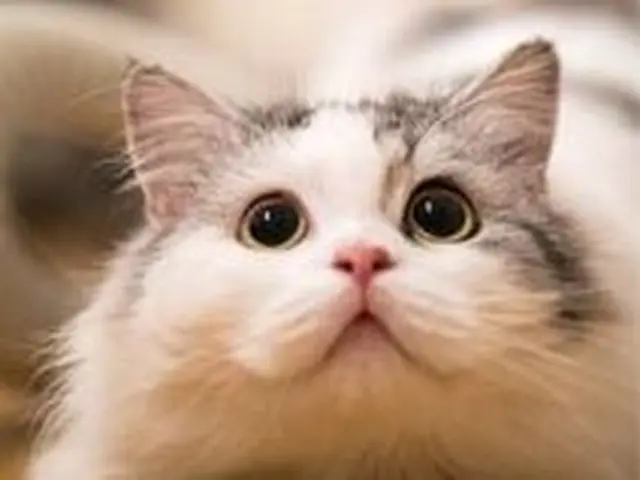 安価でも枚数が多い撮影は当方にお任せ下さい！男女カメラマン二人で撮っていきます。