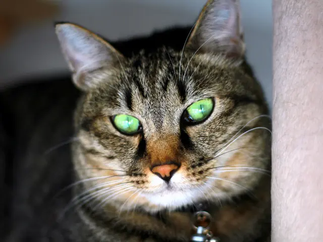 安価でも枚数が多い撮影は当方にお任せ下さい！男女カメラマン二人で撮っていきます。