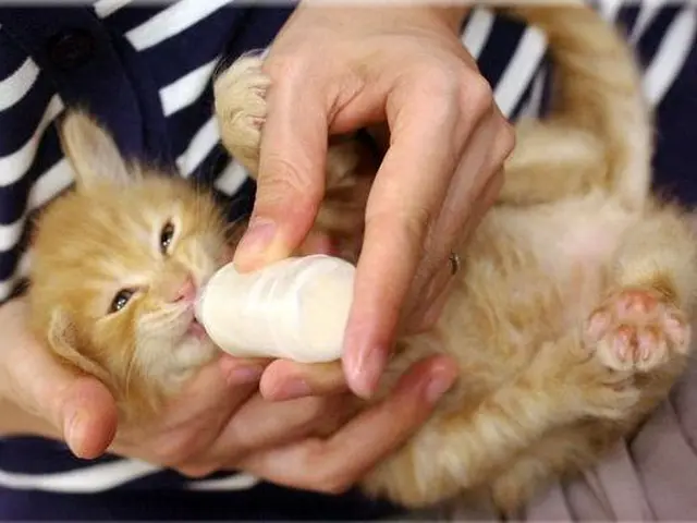 安価でも枚数が多い撮影は当方にお任せ下さい！男女カメラマン二人で撮っていきます。