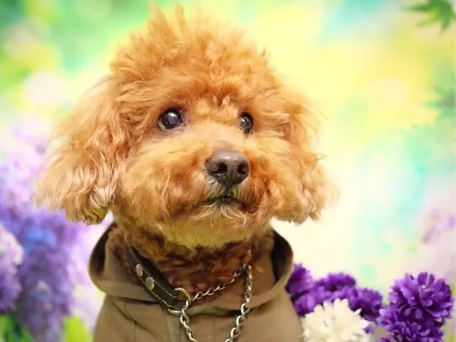 安価でも枚数が多い撮影は当方にお任せ下さい！男女カメラマン二人で撮っていきます。