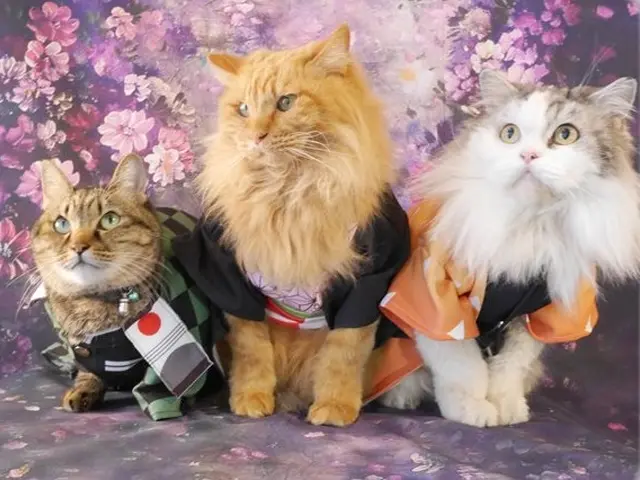 安価でも枚数が多い撮影は当方にお任せ下さい！男女カメラマン二人で撮っていきます。