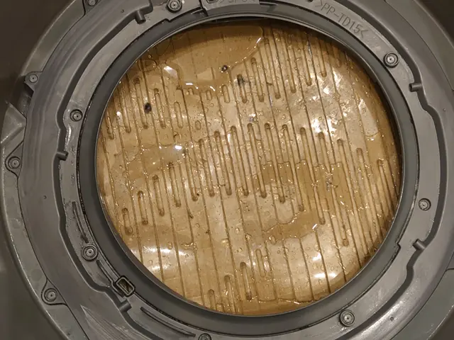 ✓ 乾燥機能の低下✓カビの除去✓詰まりの改善✓埃のお掃除サービスの画像