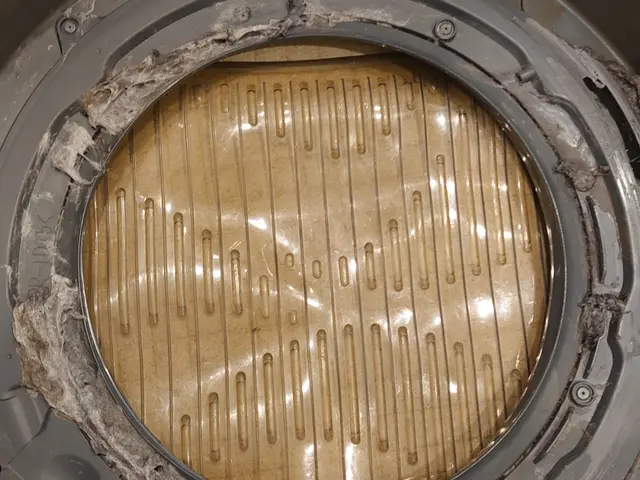 ✓ 乾燥機能の低下✓カビの除去✓詰まりの改善✓埃のお掃除サービスの画像