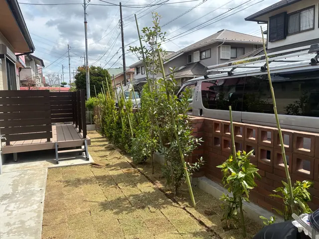 大切な樹木の植え替えお任せください！サービスの画像