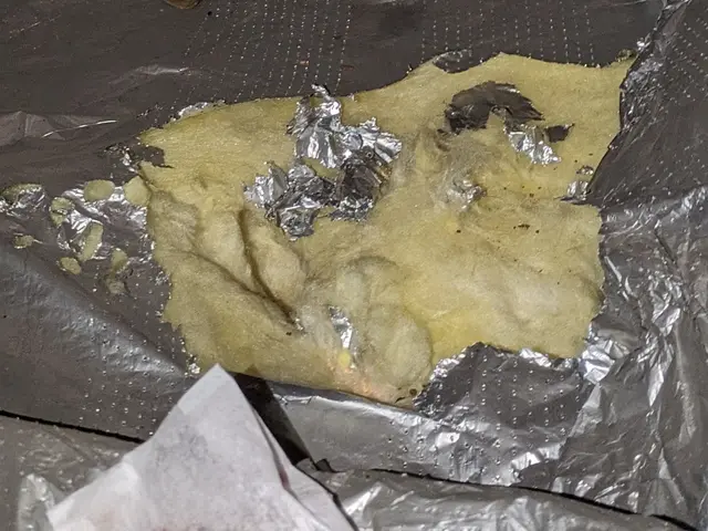 作業実績多数！専門の作業員が完全駆除！サービスの画像