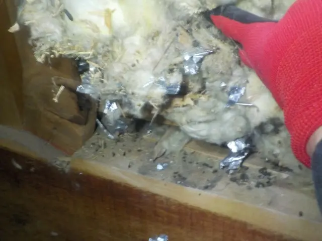 作業実績多数！専門の作業員が完全駆除！サービスの画像