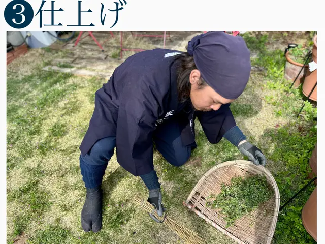 造園技能士保有の職人による庭木の剪定◆横浜市サービスの画像