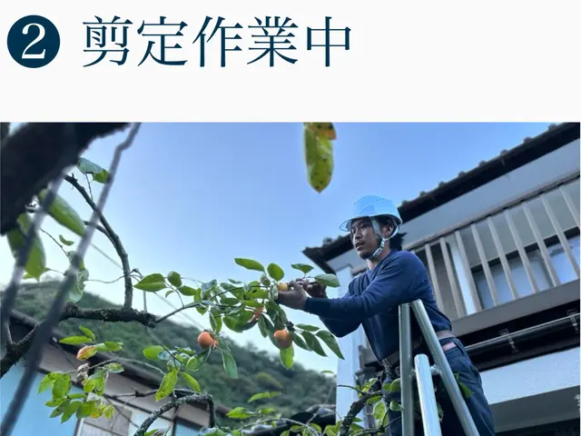 造園技能士保有の職人による庭木の剪定◆横浜市サービスの画像