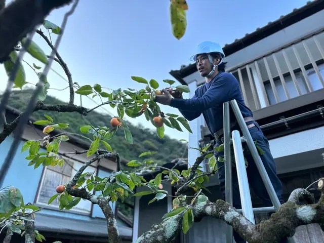 造園技能士保有の職人による庭木の剪定◆横浜市サービスの画像