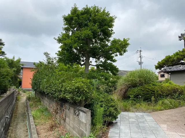 お庭の健康と、庭木の健康のために。サービスの画像