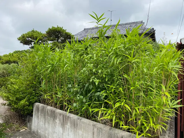 お庭の健康と、庭木の健康のために。サービスの画像