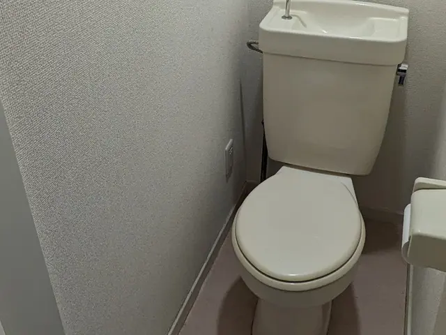 【すべて自社対応】女性スタッフ同行OK☆損害保険加入済み☆☆駐車場代当店負担◎サービスの画像