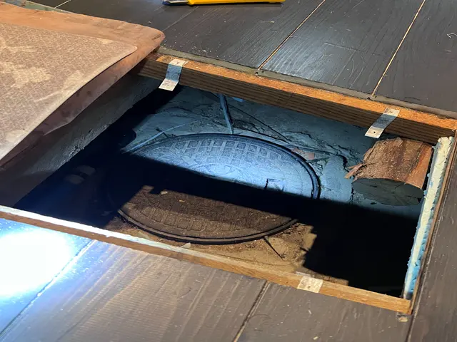 《年中無休》納得価格の徹底施工！その他の不快害虫までついでに予防します！サービスの画像