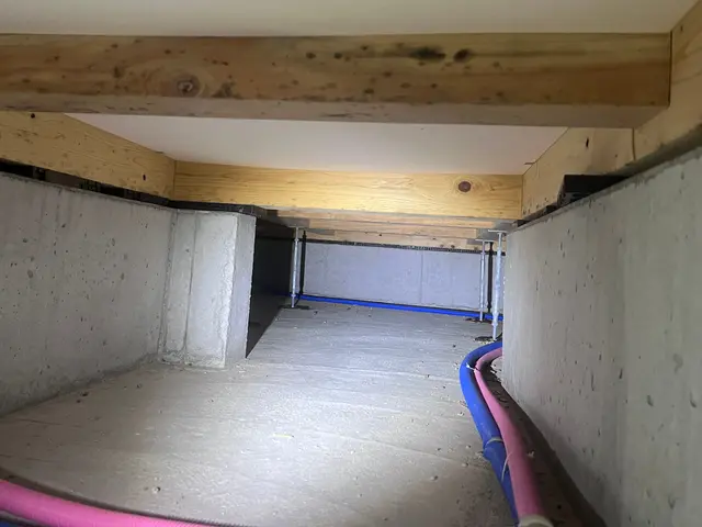 《年中無休》納得価格の徹底施工！その他の不快害虫までついでに予防します！サービスの画像