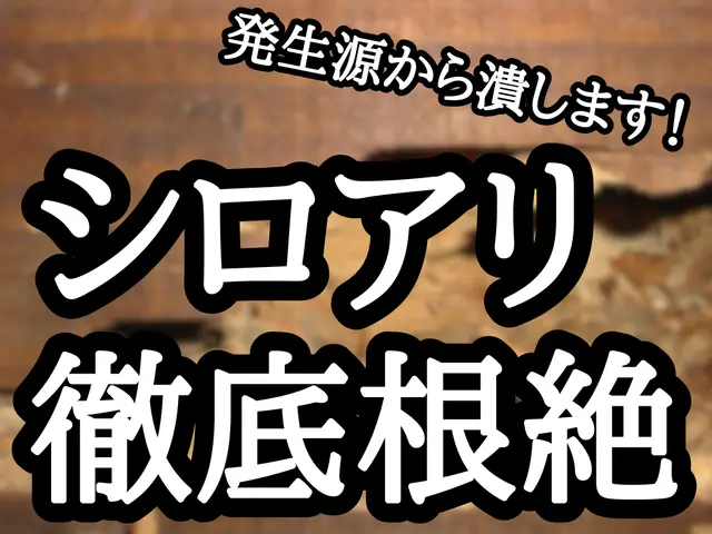 《年中無休》納得価格の徹底施工！その他の不快害虫までついでに予防します！サービスの画像