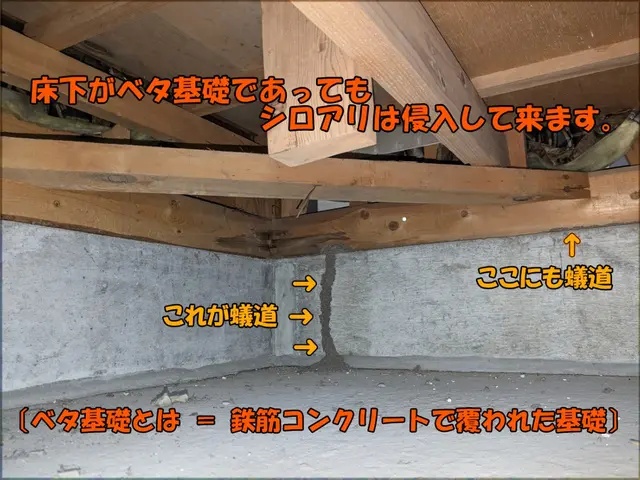 ◎安心をご提供します◎業歴25年の白蟻防除施工士にお任せください！☆5年保証付☆サービスの画像