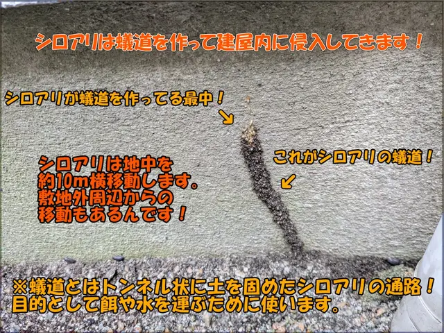 ◎安心をご提供します◎業歴25年の白蟻防除施工士にお任せください！☆5年保証付☆サービスの画像