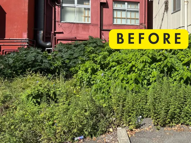 【丁寧・安心】草むしり（手作業）サービスの画像