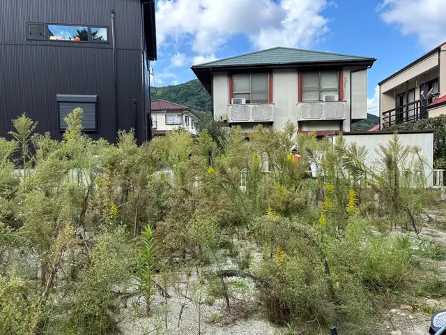 【丁寧・安心】草むしり（手作業）サービスの画像