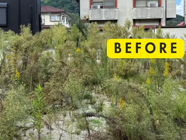 【丁寧・安心】草むしり（手作業）サービスの画像