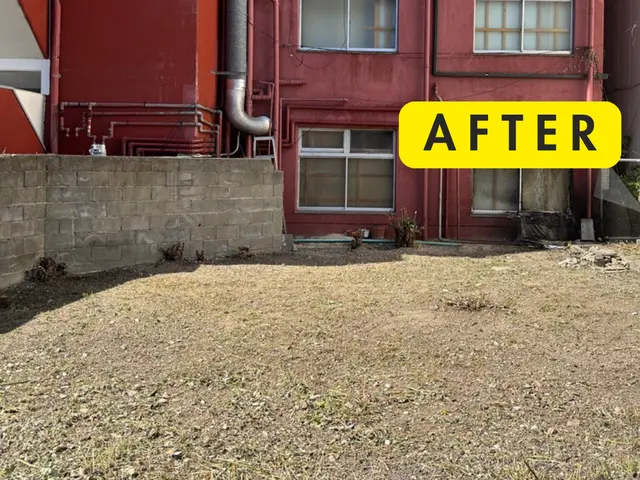 【丁寧・安心】草むしり（手作業）サービスの画像