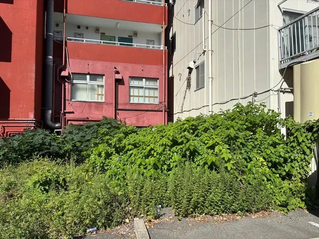 【丁寧・安心】草むしり（手作業）サービスの画像