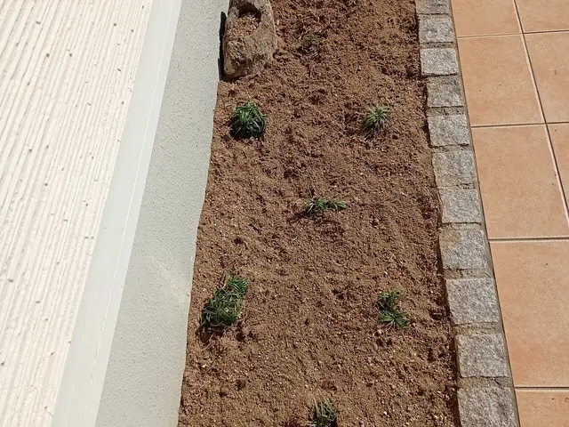 ハウスクリーニング士認定の自社スタッフが長期信頼関係を築きますサービスの画像