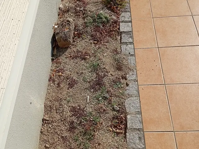 ハウスクリーニング士認定の自社スタッフが長期信頼関係を築きますサービスの画像