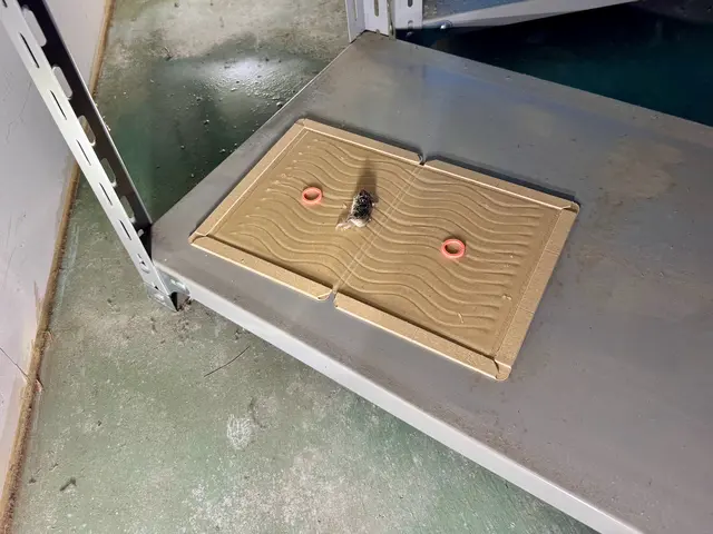 【業歴20年の実績】年中無休◎営業時間外も対応可能◎アフターフォローも万全サービスの画像