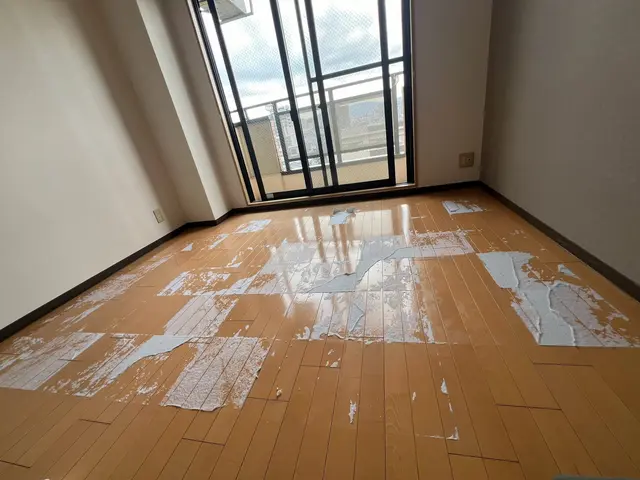 ピカピカハウスクリーニング！サービスの画像