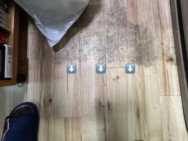 夏休み特別キャンペーン中！ピカピカハウスクリーニング！サービスの画像