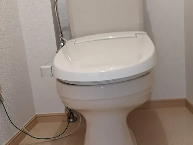 知らない人が家に…清潔感で選ぶなら！ワンランク上のおそうじで快適のお手伝い！！サービスの画像