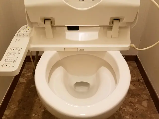 ☆自分ではやりたくないトイレ掃除☆キャンペーン中にて早い者勝ち☆プロの技をぜひサービスの画像