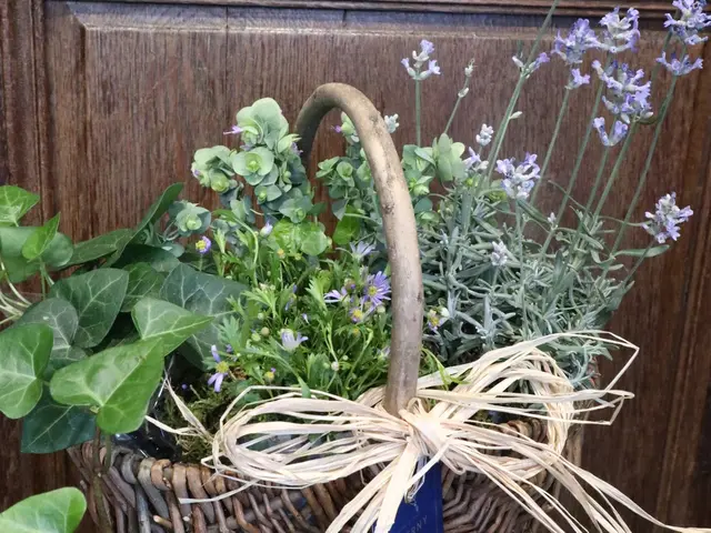 【花屋の植え替え】女性スタッフ◎要望に合わせて最適な植物や配置の提案も可能◎サービスの画像