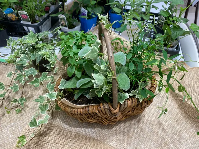 【花屋の植え替え】女性スタッフ◎要望に合わせて最適な植物や配置の提案も可能◎サービスの画像