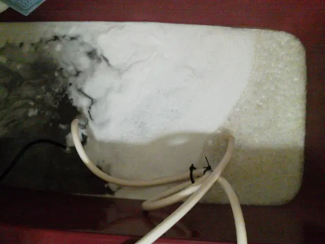 市販剤や他店でも除去出来ない汚れまで根こそぎ洗浄する驚異の風呂釜洗浄サービスの画像