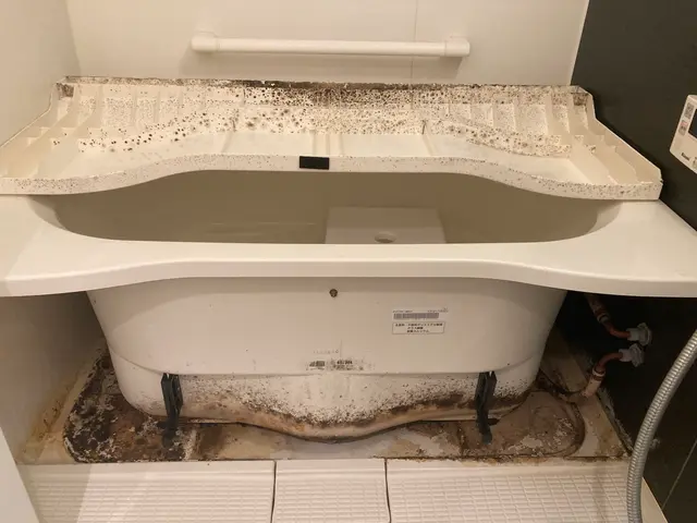 【11/11〜予約可】年末混み合う前にお得な5点セットをお試しください！サービスの画像