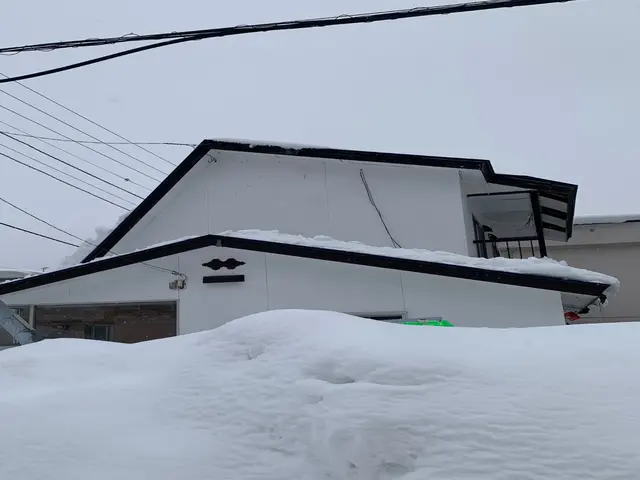 雪かき・雪下ろしの事ならお任せ下さい！サービスの画像
