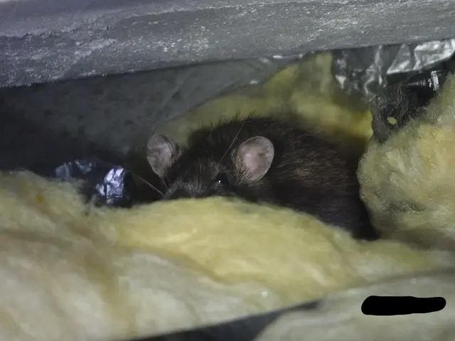 【動物のことなら何でも相談！】静岡県のどこでも可◎2024新規開店お祝い価格！サービスの画像