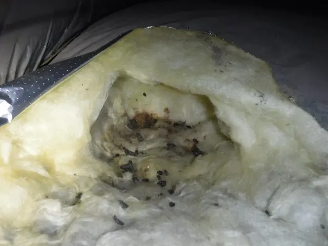 【動物のことなら何でも相談！】静岡県のどこでも可◎2024新規開店お祝い価格！サービスの画像