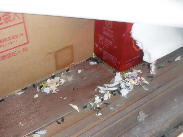 【動物のことなら何でも相談！】静岡県のどこでも可◎2024新規開店お祝い価格！サービスの画像