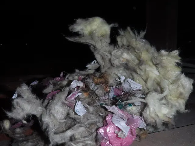 【動物のことなら何でも相談！】静岡県のどこでも可◎2024新規開店お祝い価格！サービスの画像