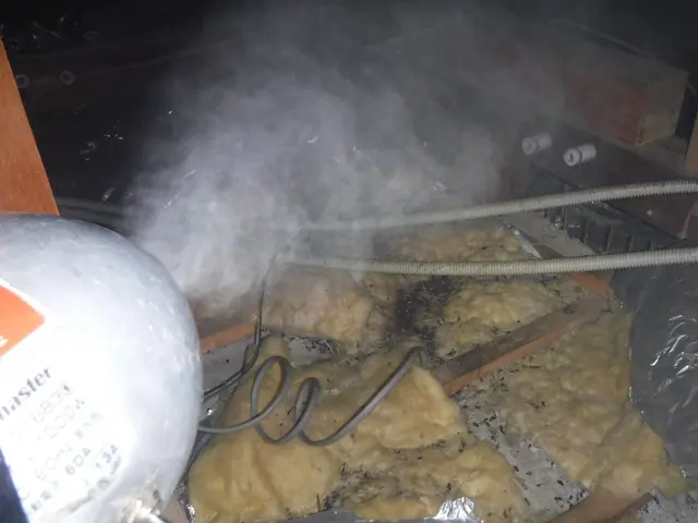 【動物のことなら何でも相談！】静岡県のどこでも可◎2024新規開店お祝い価格！サービスの画像